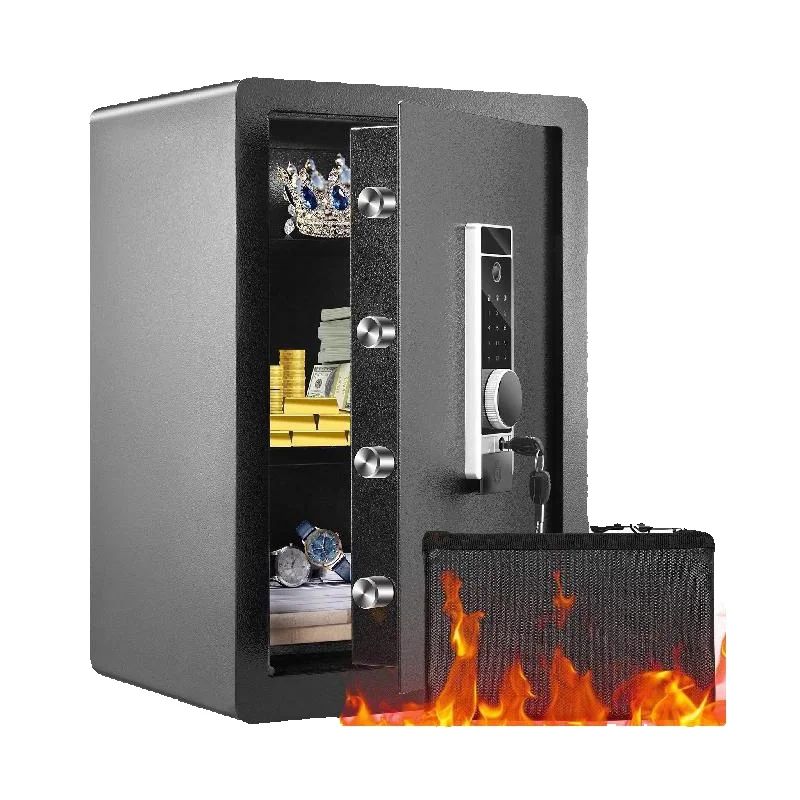 SucceBuy 電気金庫 2.2/1.8 立方フィート 指 - Fire Safe Document のレビューと価格