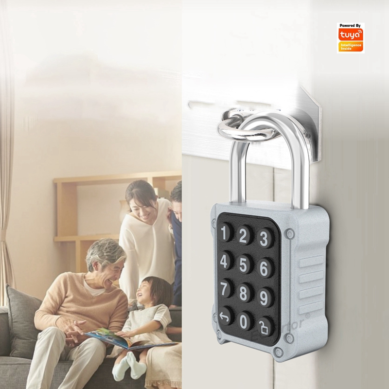 EGFirtor Tuya APP 電子スマート南京錠パスワ - Lockbox Key Secure のレビューと価格